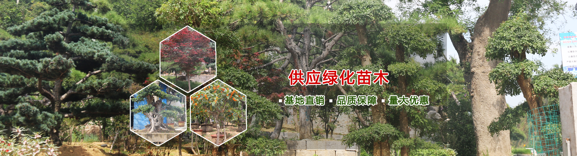 山東科大中天電子有限公司